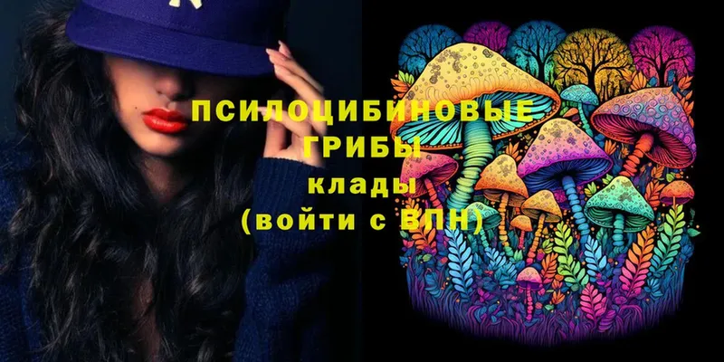 это как зайти  Каргополь  Псилоцибиновые грибы Cubensis 